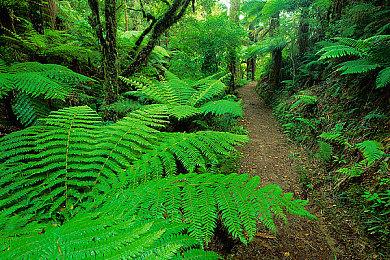 叙事冒险新作《OPUS：心相吾山》新中文PV