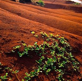 《星刃》制作人金亨泰入驻微博：希望玩家们多支持